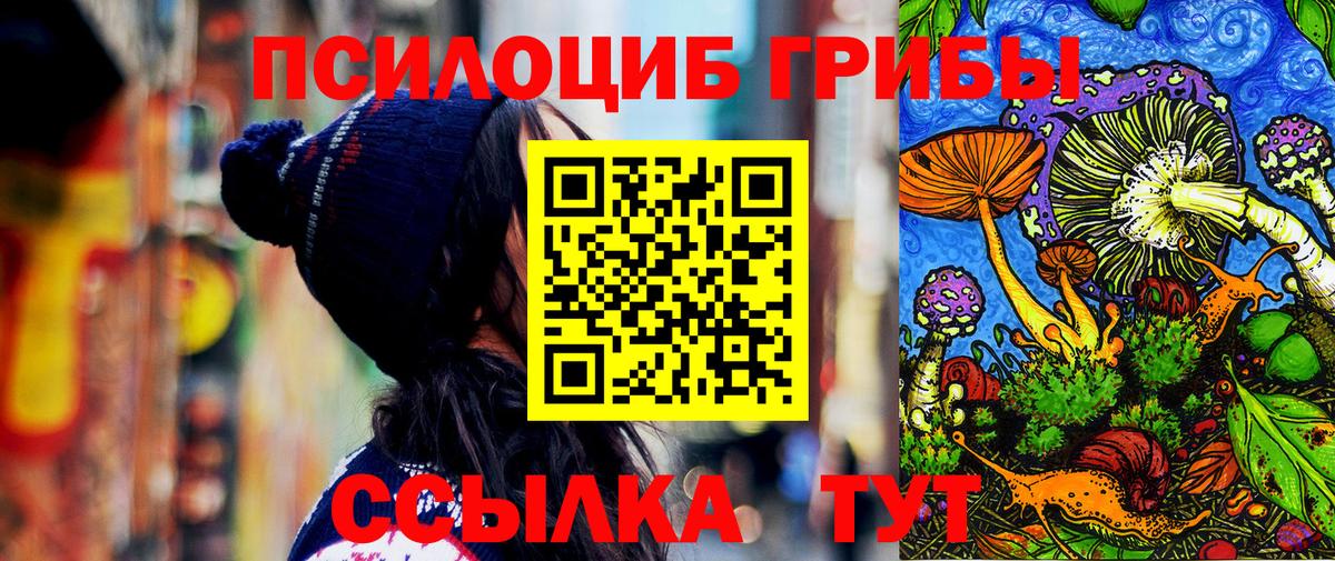 Галлюциногенные грибы мухоморы Гусев