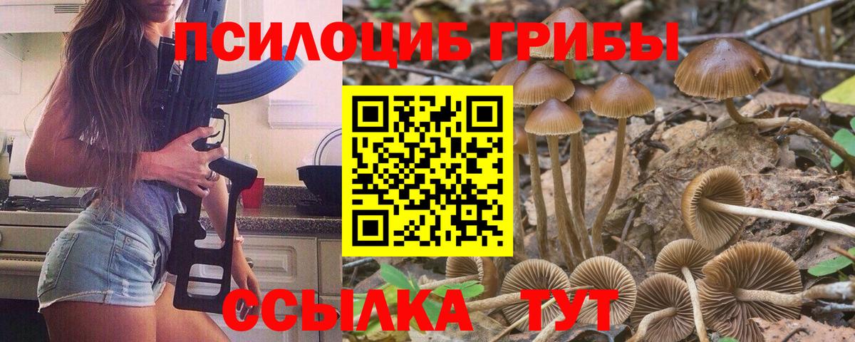 Псилоцибиновые грибы Cubensis  Вход с VPN  Гусев  Галлюциногенные грибы MAGIC MUSHROOMS 